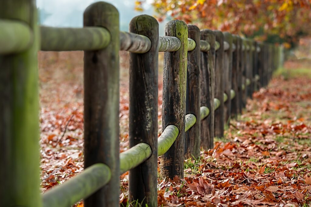 fence posts, autumn, leaves-2331414.jpg